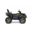 BLADE 1000 LTX MAX EPS LIMITED PREMIUM PRO